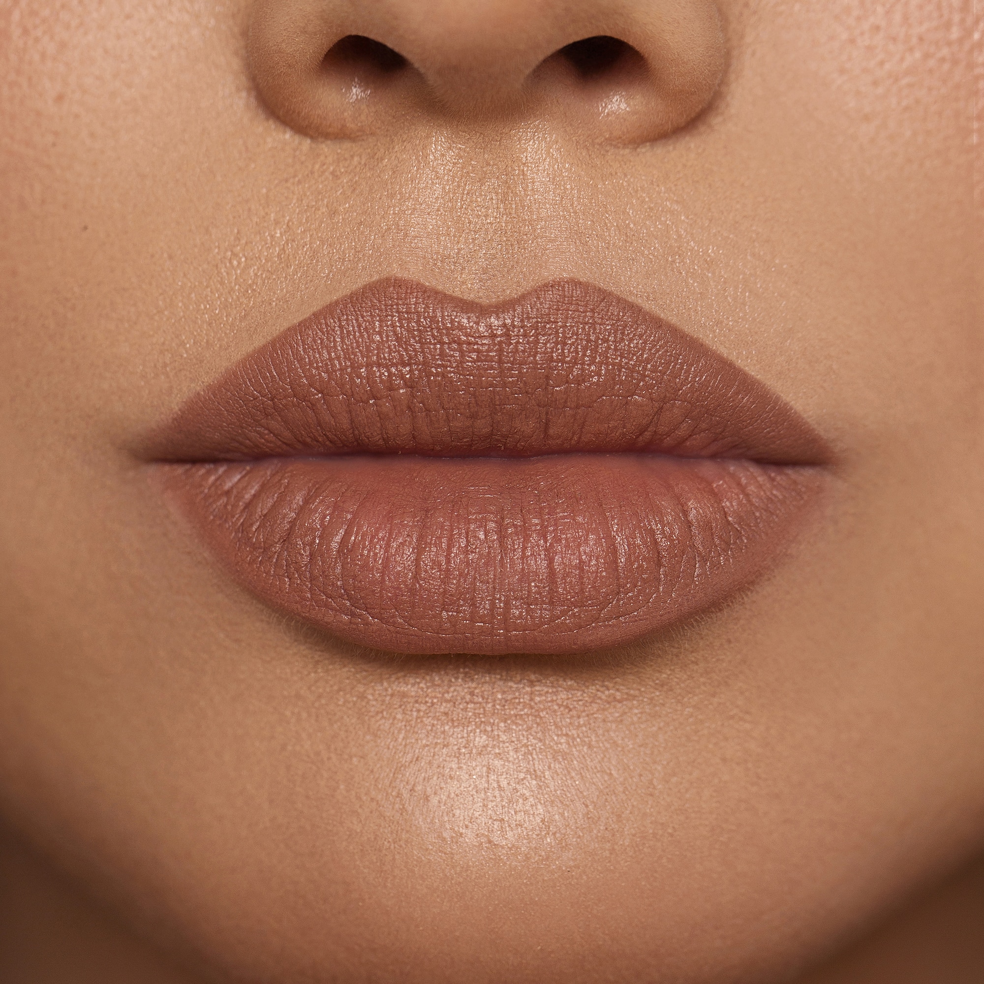 MONOCHROME MOMENT LIP CRAYON (LÁPIZ LABIAL)
